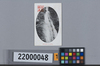 高尾山名勝絵葉書　高尾山琵琶瀧/Picture Postcard of the Scenic Beauties of Mt. Takao, Biwa Waterfall, Mt. Takao image