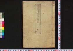 逆巻浪夢の夜嵐 / Sakamaku Nami Yume no Yoarashi (Book of Literature) image