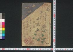 菊文様皿山奇談 / Kikumoyō Sarayama Kidan (Book of Literature) image