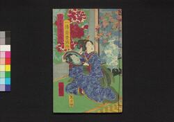 阿玉ヶ池櫛月形 二編下 / Otamagaike Kushi no Tsukigata (Book of Literature), Part 2 (2) image