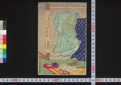 夜嵐阿鬼奴花廼仇夢 / Yoarashi Okinu Hana no Adayume (Book of Literature) image