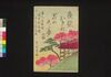 夜嵐阿鬼奴花廼仇夢　三編上/Yoarashi Okinu Hana no Adayume (Book of Literature), Part 3 (1) image
