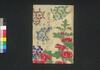 関口文七写真阿若新編伊香保土産 三編上/Sekiguchi Bunshichi Shashin Owaka Shimpen Ikaho Miyage (Book of Literature), Part 3 (1) image