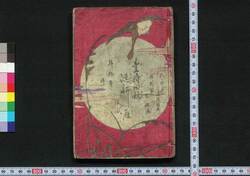 豊時田秋浪速新雁 初編 / Fujita no Aki Naniwa no Hatsukari (Book of Literature), Part 1 image