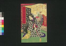 金花胡蝶幻 二編上 image