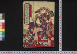 艶娘毒蛇淵 / Iro Musume Dokuja no Fuchi (Book of Literature) image