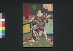 桜忍丑志満奇談　下巻 / Sakura Shinobu Ushijiama Kitan (Book of Literature), Vol. 3 image