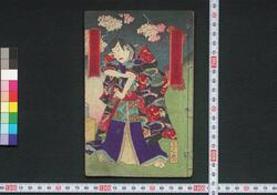 皿屋敷於菊之実伝 / Sarayashiki Okiku no Jitsuden (Tale of Okiku at Sarayashiki) image