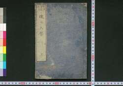 魂の入替 / Tama no Irekae (Book of Academic Literature) image