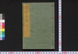 浪華史略 / Naniwa Shiryaku (Story of Siege of Osaka) image