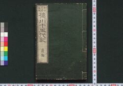 徳川十五代記 / Tokugawa Jūgodaiki (Biographies of Fifteen Tokugawa Shoguns) image