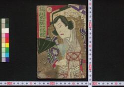 徳川天一坊一代記 / Tokugawa Tenichibō Ichidaiki (Chronicle of Tokugawa Tenichibō) image