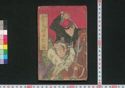 鹿児島戦争記 / Kagoshima Sensōki (Chronicles of Kagoshima War) image