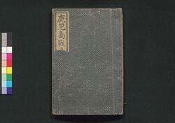 鹿児島戦争記　中之巻 / Kagoshima Sensōki (Chronicles of Kagoshima War), Vol. 2 image
