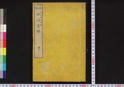 西南 征討史略 / Seinan Seitō Shiryaku (Records of Seinan War) image
