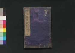 絵本難波戦記 三編 一 / Ehon Naniwa Senki (Picture Book: Story of Siege of Osaka), Part 3 (1) image