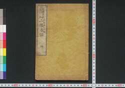 近体奇説第一編 二橋春話 / Kintai Kisetsu, Nikyō Shunwa (Excerpts from “Five-Color Stone” by Bi Lian Ge), Part 1 image