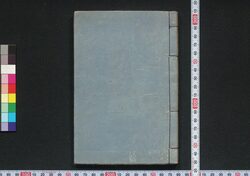 台湾外記 / Taiwan Gaiki (Story of Zheng Family in Ming and Qing Dynasties) image