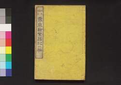 東京新繁昌記 二編 / Tokyo Shin Hanjōki (New Prosperity of Tokyo), Part 2 image