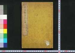 新編 東京繁昌記 初編 / Shimpen Tokyo Hanjōki (Prosperity of Tokyo, New Edition), Part 1 image