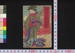染金両婦仇夢 / Somekin Ryōfu no Adayume (Book of Literature) image