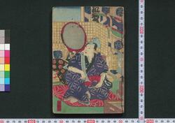 夜嵐阿衣花廼仇夢 / Yoarashi Okinu Hana no Adayume (Book of Literature) image