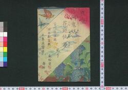 夜嵐阿衣花廼仇夢 二編上 / Yoarashi Okinu Hana no Adayume (Book of Literature), Part 2 (1) image
