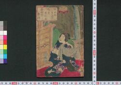 恋相場花王夜嵐 二編下 / Koisōba Hana no Yoarashi (Book of Literature), Part 2 (3) image