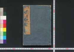 寛永行幸記 / Kanei Gyōkōki (Records of Imperial Visit to Nijō Castle in Kanei Era) image