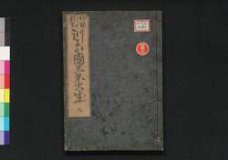 頭書増補 訓蒙図彙大成　九 / Tōsho Zōho Kimmō Zui Taisei (Illustrated Encyclopedia, Enlarged Edition), 9 image