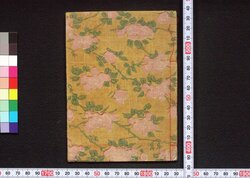 [江戸岡場所一覧] / [Edo Okabasho Ichiran] (Book of Critiques) image