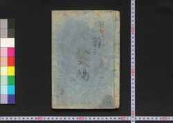 八たけの寐さめ草 / Yatake no Nezamegusa (Geographical Descriptions and Lifestyle of Hachijōjima Island) image