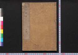 解体新書 / Tokyo Jō Nisshi (Tokyo Castle Journal) image
