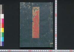 虎狼痢神療書 / Korori Shinryōsho (Book of Cholera Treatment) image