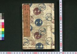 正史実伝 いろは文庫 / Seishi Jitsuden Iroha Bunko (Book of Literature) image