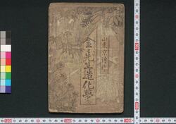 金々先生造化夢 / Kinkin Sensei Zōka no Yume (Book of Literature) image