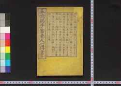 暴瀉病手当素人心得書 / Korori Teate Shirōto Kokoroesho (Book of Symptoms of Cholera and Home Treatment) image