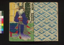夜嵐阿鬼奴花廼仇夢 初編中 / Yoarashi Okinu Hana no Adayume (Book of Literature), Part 1 (2) image