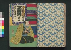 夜嵐阿衣花廼仇夢 初編下 / Yoarashi Okinu Hana no Adayume (Book of Literature), Part 1 (3) image