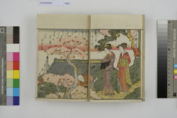 絵本纐纈染　上 / Ehon Kukurizome (Kyoka poems illustrated by Utagawa Toyokuni), Vol. 1 image