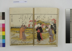 絵本纐纈染　下 / Ehon Kukurizome (Book with Kyōka Poems and Illustrations), Vol. 3 image
