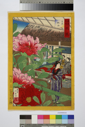東京名所花競　目黒牡丹 image