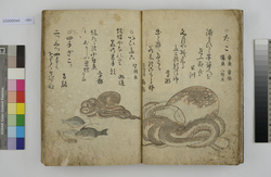 海の幸 / Umi no Sachi (Book of Haiku Poems with Illustrations of Fish and Other Aquatic Animals) image