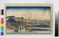 東都名所　新吉原朝桜之図 / Famous Views of Tokyo, Morning Cherries at Shin Yoshiwara image