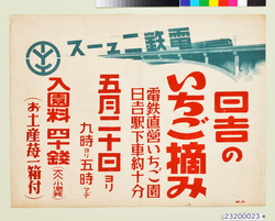 電鉄ニュース　日吉のいちご摘み　ポスター / Dentetsu News, Strawberry Picking in Hiyoshi, Poster image