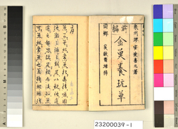金魚養玩草 / Kingyo Sodategusa (Goldfish Care Guidebook) image