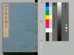 江戸名所図会 十三 / Edo Meisho Zu-e (Illustrated Book of Famous Places of Edo), 13 image