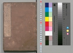 重訂本草綱目　五十二 / Jūtei Honzō Kōmoku (Compendium of Materia Medica, Revised Edition), 52 image