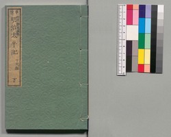 事情 明治太平記　十九編下 / Jijō Meiji Taiheiki (Book of Literature), Part 19 (2) image