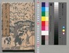 南総里見八犬伝 第七輯 巻三/Nansō Satomi Hakkenden (Tale of Eight Dog Warriors), Vol. 7 (3) image